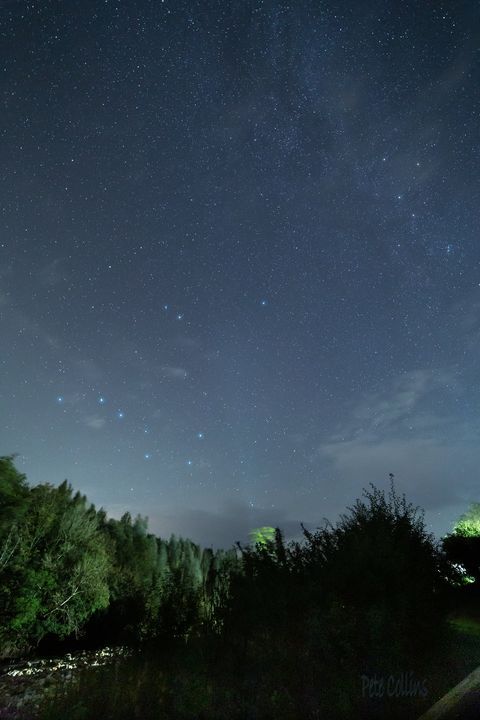 Discover Country Harvest Ingleton: Scenic Views, Cafe & Farm Delights